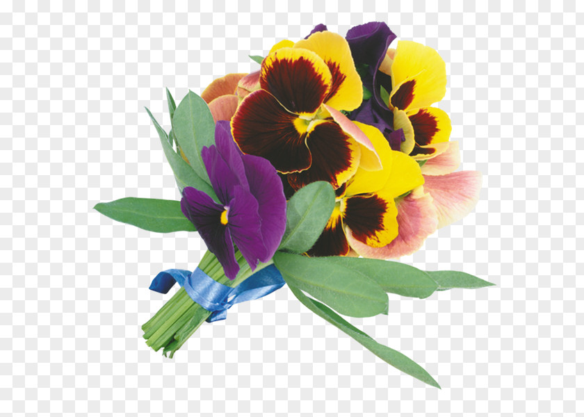 Flower Bouquet Cut Flowers Pansy Clip Art PNG