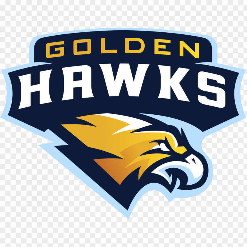 Golden Hawk Logo Sports Association Banjul Hawks FC Football PNG