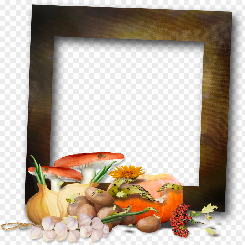 63 Picture Frames Autumn Photography PNG