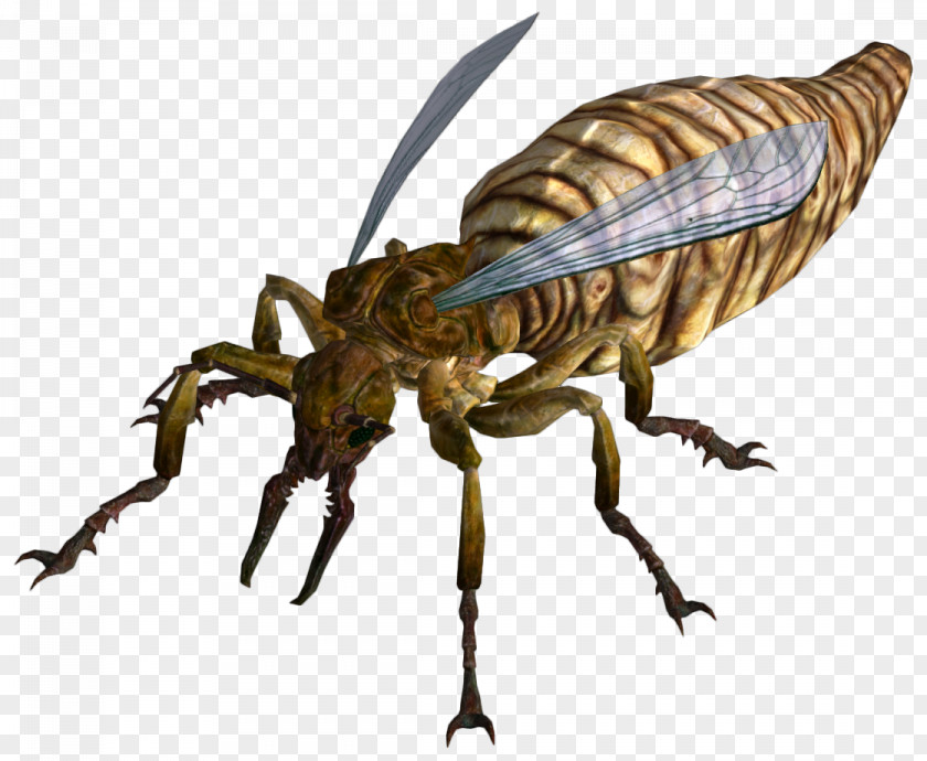 Fallout Fallout: New Vegas 3 Anteater Insect PNG