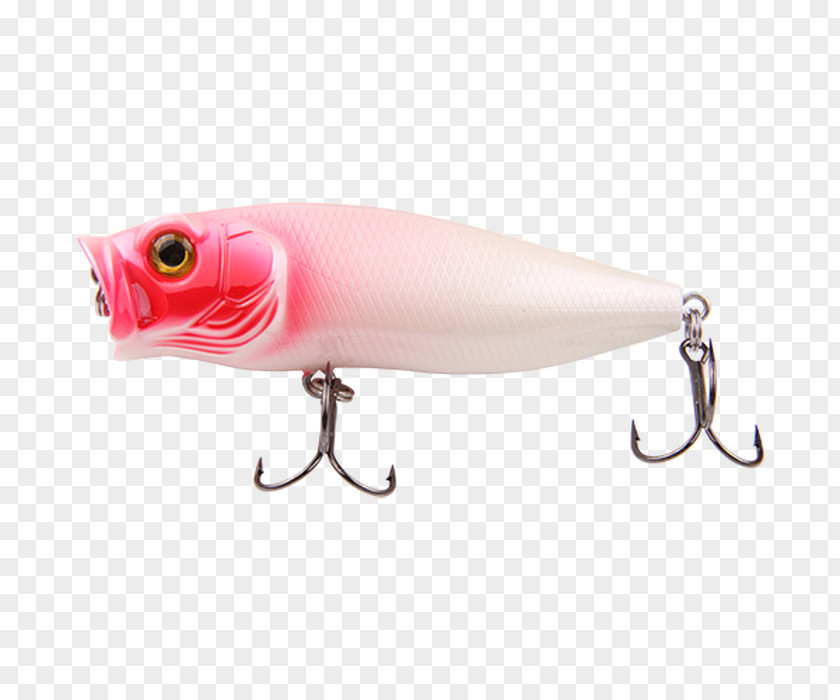 Fishing Popper Plug Baits & Lures Angling PNG