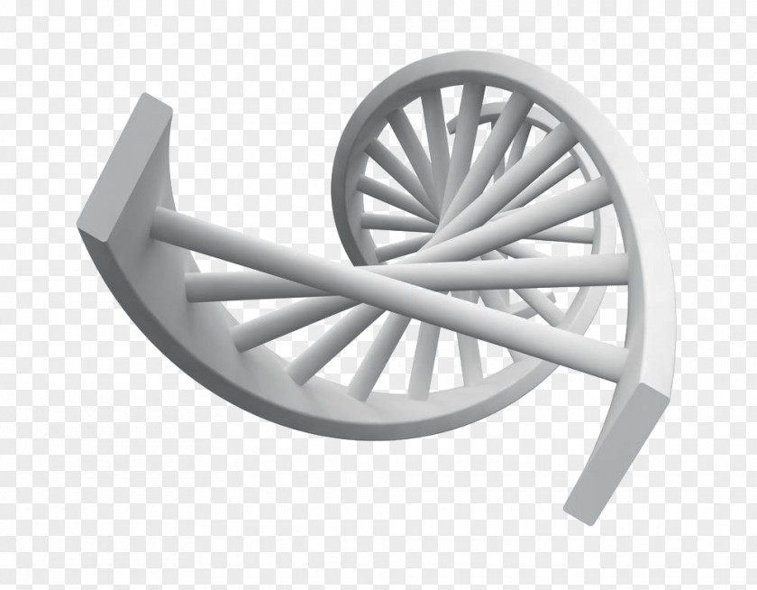 Gene Free Downloads Stock Photography Illustration PNG