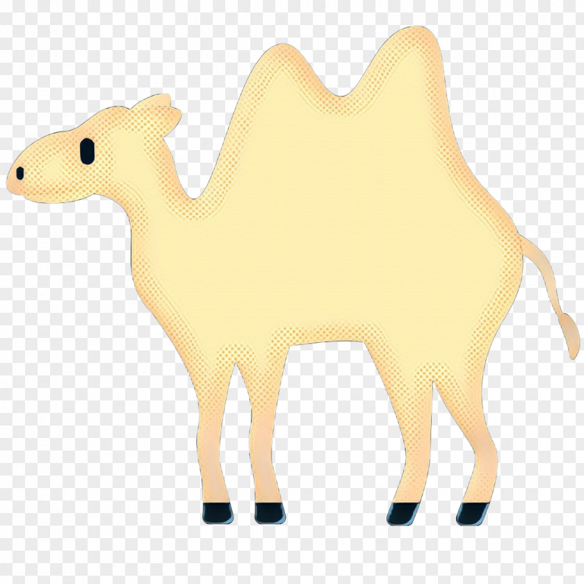 Llama Arabian Camel Pop Art Retro Vintage PNG