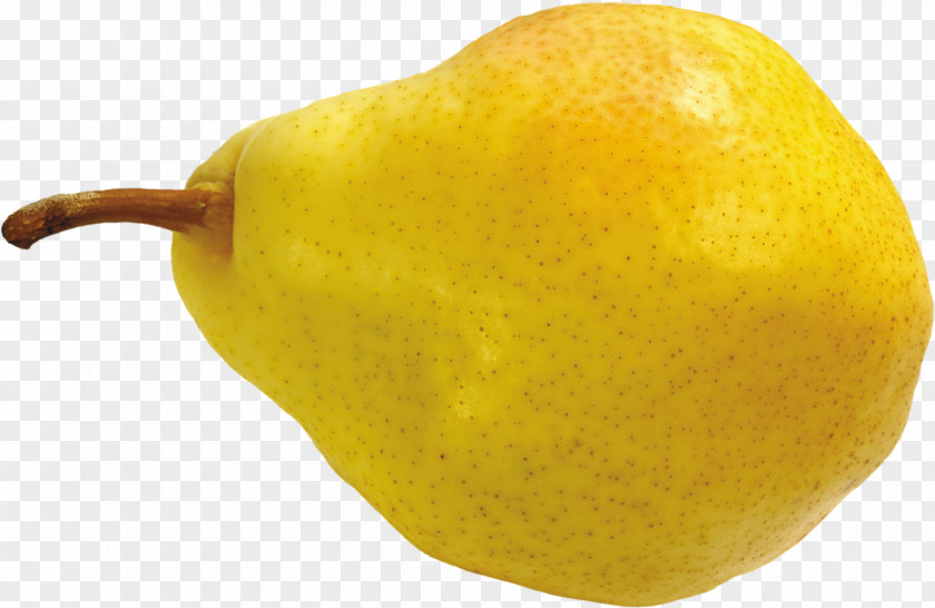 Pear Image Citron Lemon Tangelo Citrus Junos PNG