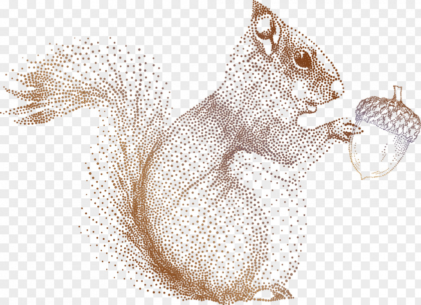 Dot Squirrel Acorn Drawing Illustration PNG
