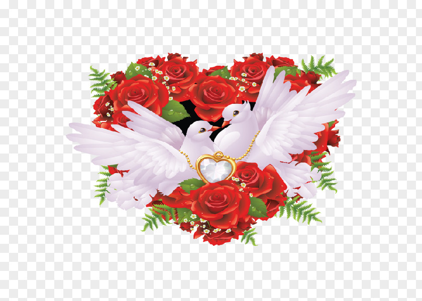 Dove With Ring Wedding Invitation Columbidae Doves As Symbols Bird Clip Art PNG