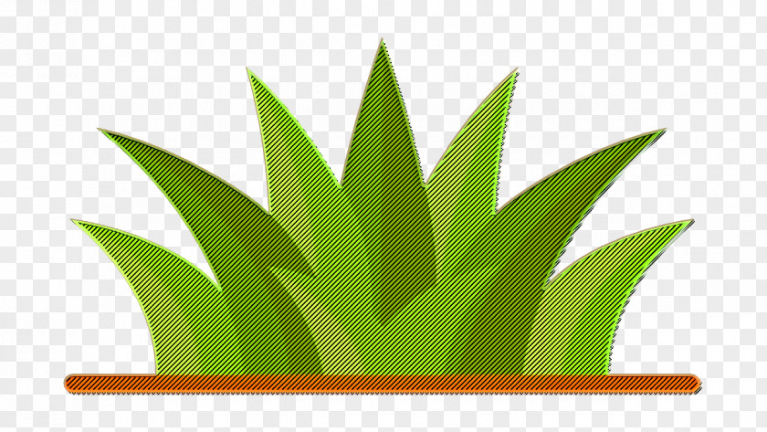 House Plants Icon Grass PNG