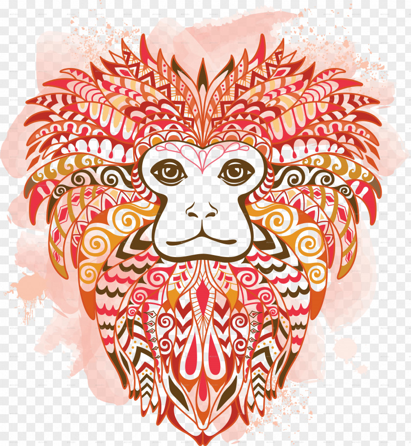 Lion Head Primate Golden Tamarin PNG