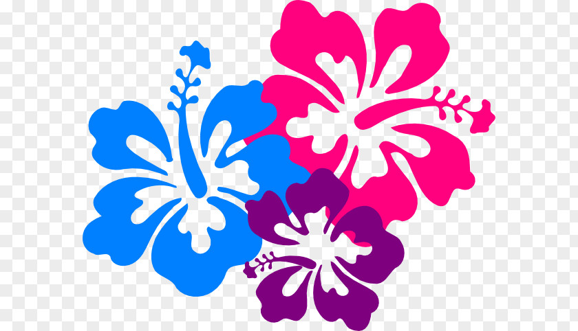 Tropical Border Cliparts Hawaii Clip Art PNG