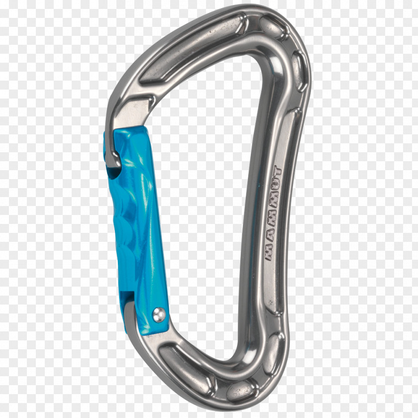 Carabiner Climbing Buildering Mammut Sports Group Twistlock PNG