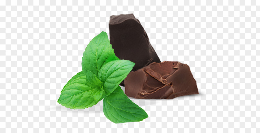 Chocolate Leaf Plant Matter PNG