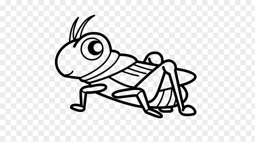 Grasshopper Cricket Drawing Coloring Book Insect PNG