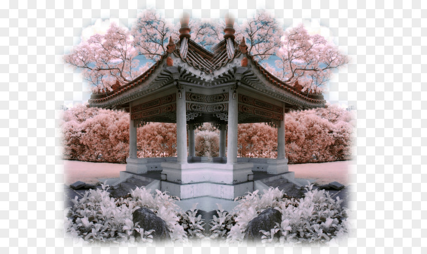 Asian Landscape Blog Desktop Wallpaper Photography Friendship PNG