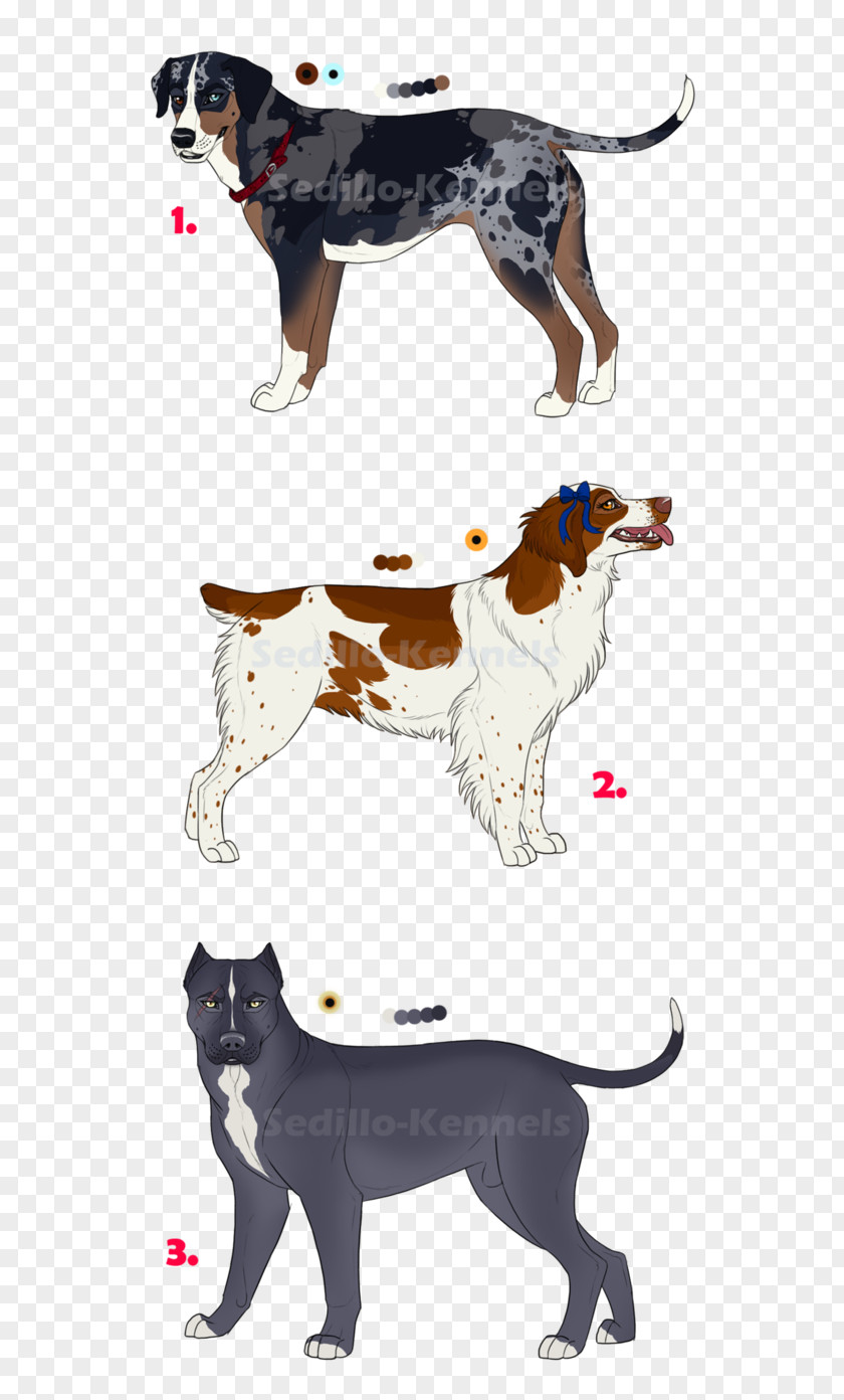 Cat Dog Breed Paw PNG