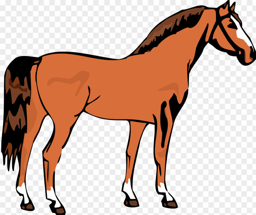 Colt Livestock Painting Cartoon PNG