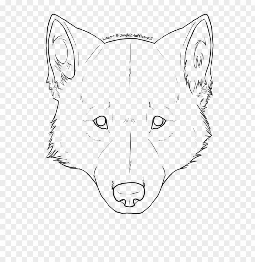 Gray Wolf Drawing Line Art Clip PNG