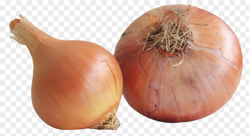 Onion Yellow Vegetable Shallot Food PNG