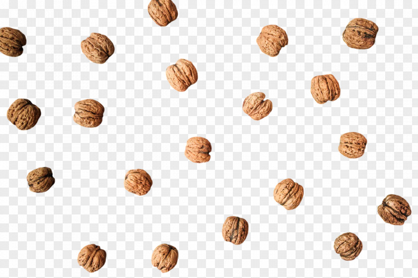 Praline Jewellery Human Body PNG