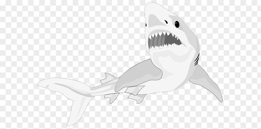 Shark Line Art Mammal Clip PNG