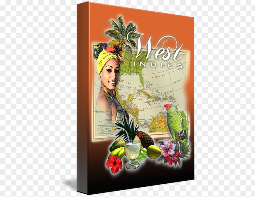 West Indies Advertising Floral Design Product Fruit PNG