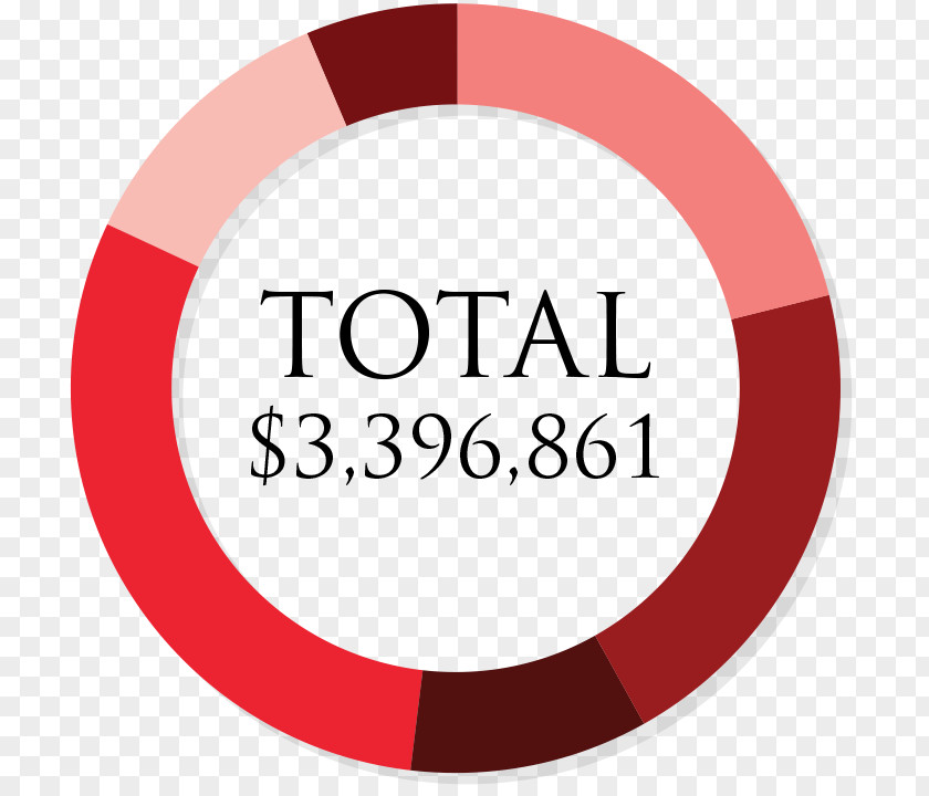 Annual Report The Salvation Army Finance Financial Statement Organization PNG