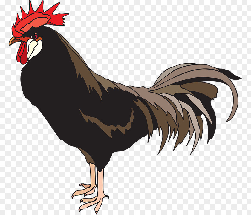 Cock Rooster Clip Art PNG