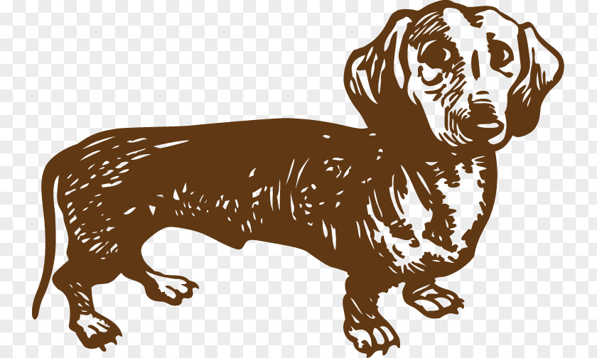 Dachshund Westphalian Dachsbracke Basset Hound Beagle Greyhound PNG