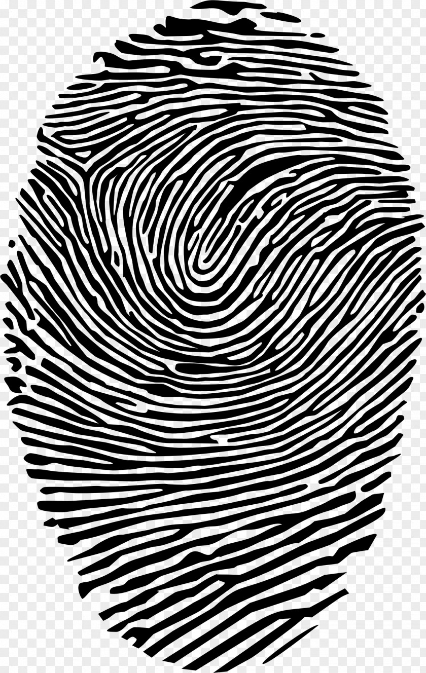 Finger Print Fingerprint Spiral Clip Art PNG