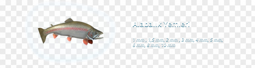 Fish Brand IPhone 5s PNG