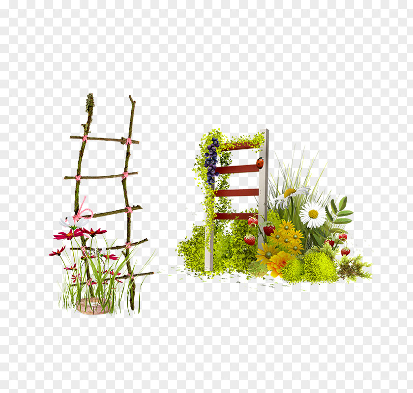 Flower Frame Ladder Albom Clip Art PNG