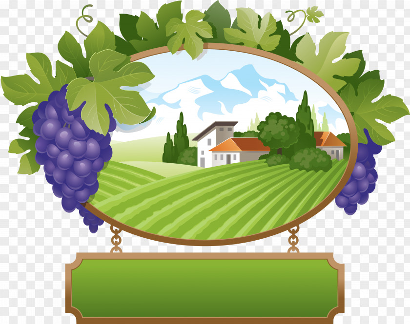 Grape Wine Common Vine Royalty-free Clip Art PNG