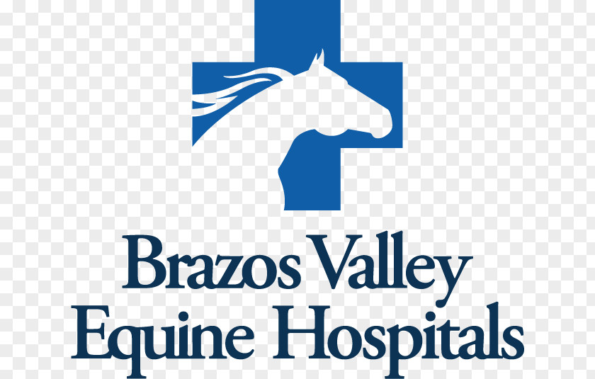 Horse Brazos Valley Equine Hospital County Mare Veterinarian PNG
