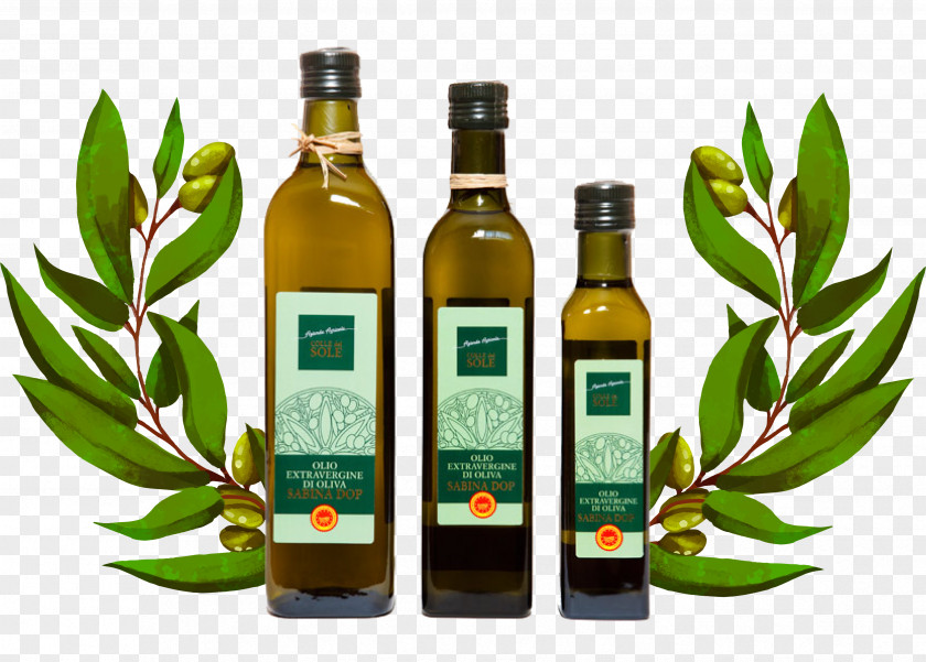 Azienda Agricola Giuliana Puligheddu Palombara Sabina Olive Oil Torri In Fattoria San Michele Liqueur PNG