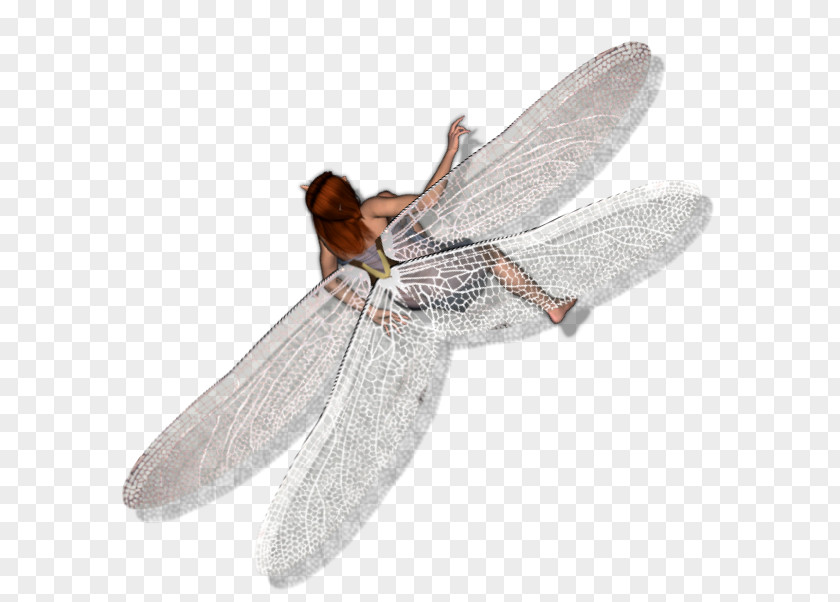 Dragonfly Nymph Dungeons & Dragons Fairy Role-playing Game Sprite Roll20 PNG