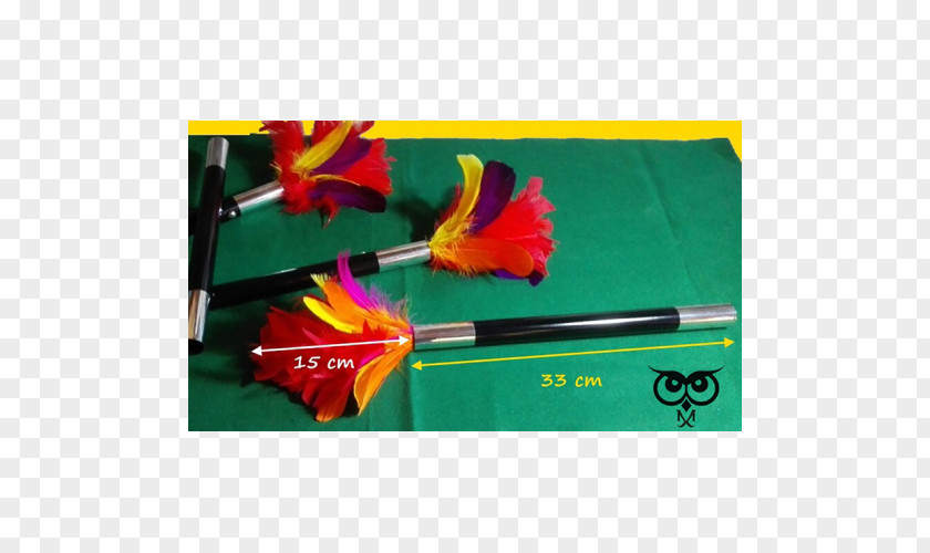 Feather Duster Wand Strixmagic Material PNG