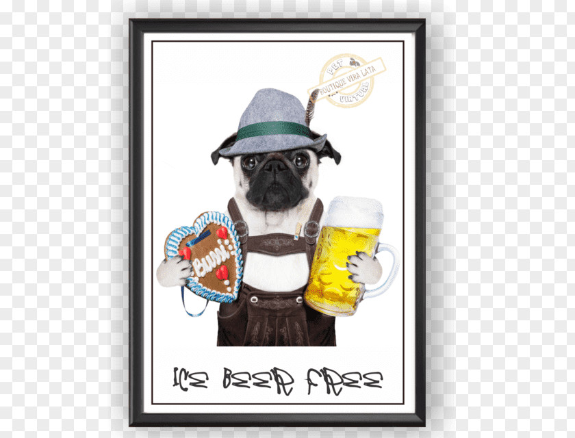 Ice Beer Pug Dog Breed German Pinscher Shih Tzu Stock Photography PNG