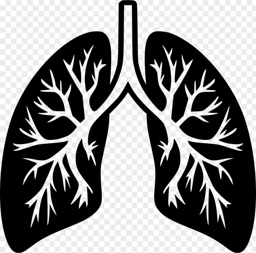 Lung Breathing File Format PNG