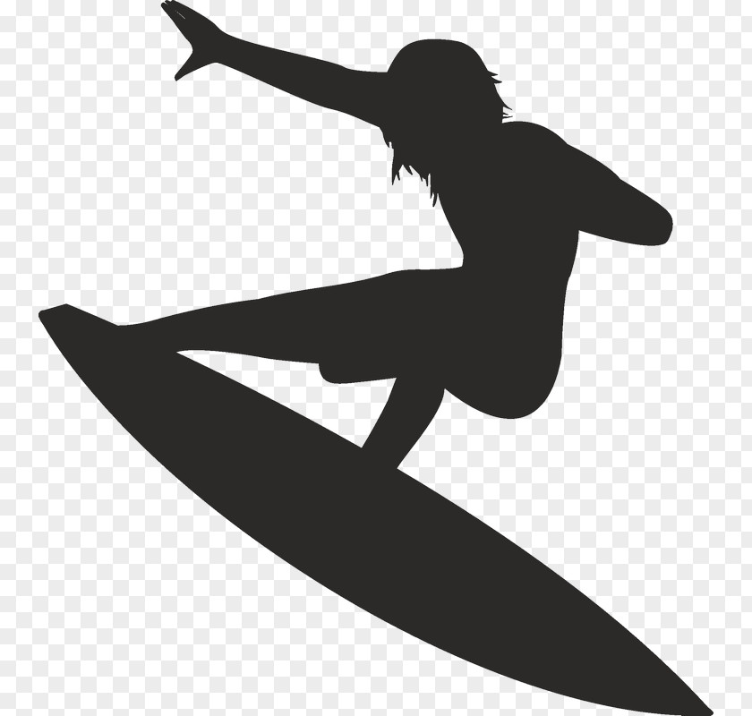 Silhouette Surfing Surfboard PNG