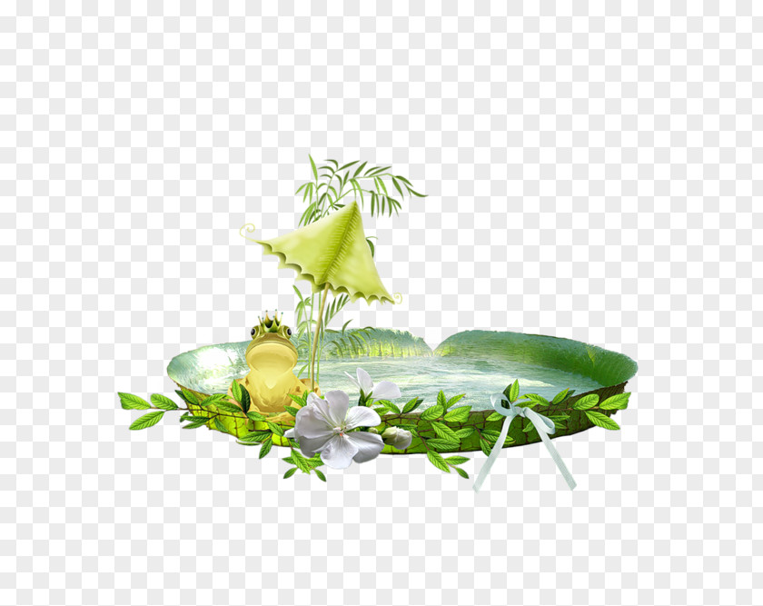 Spend Flowers On New Year's Day Promenade Du Peyrou Frog Desktop Wallpaper PNG