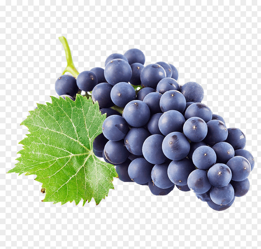Vitis Plant Grape Natural Foods Seedless Fruit Leaves Grapevine Family PNG