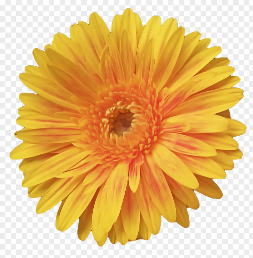 Artificial Flower PNG