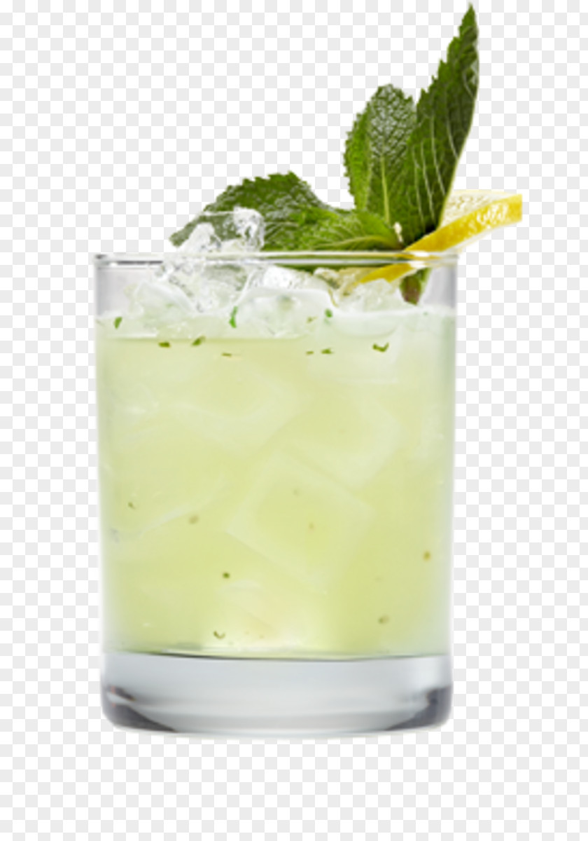 Mojito Mai Tai Cocktail Garnish Juice PNG