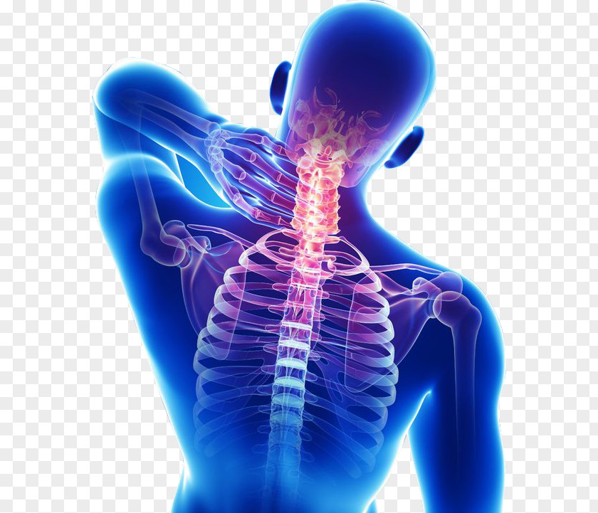 Neck Pain Back Management Medicine PNG