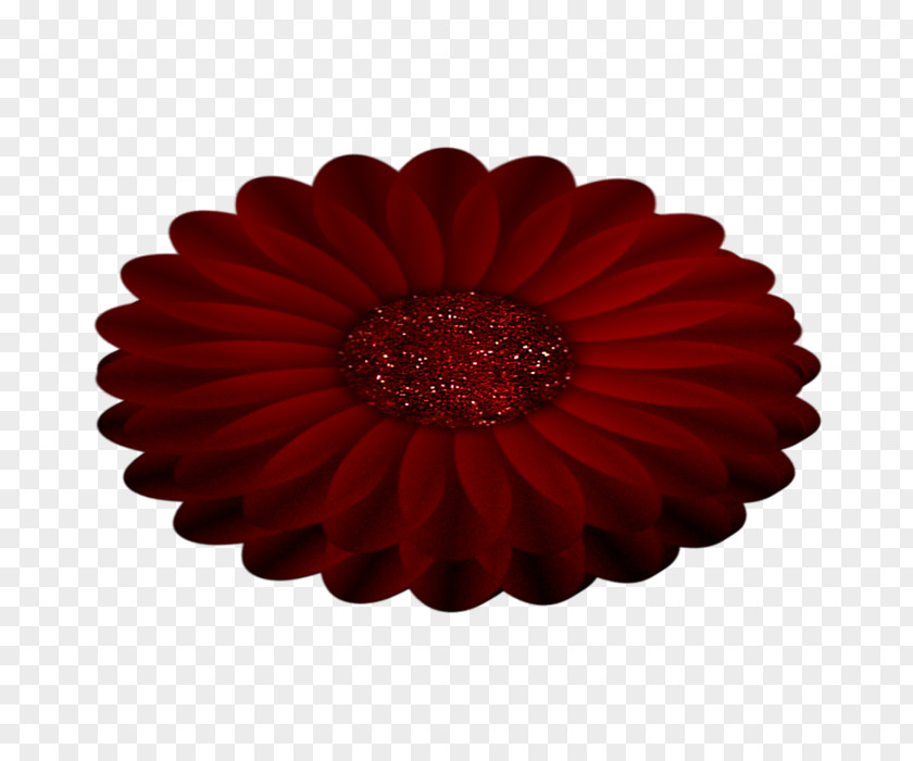Transvaal Daisy Cut Flowers Chrysanthemum Bicycle PNG