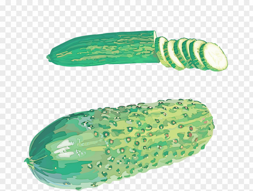 Green Cucumber Vegetable Cucumis Luffa PNG