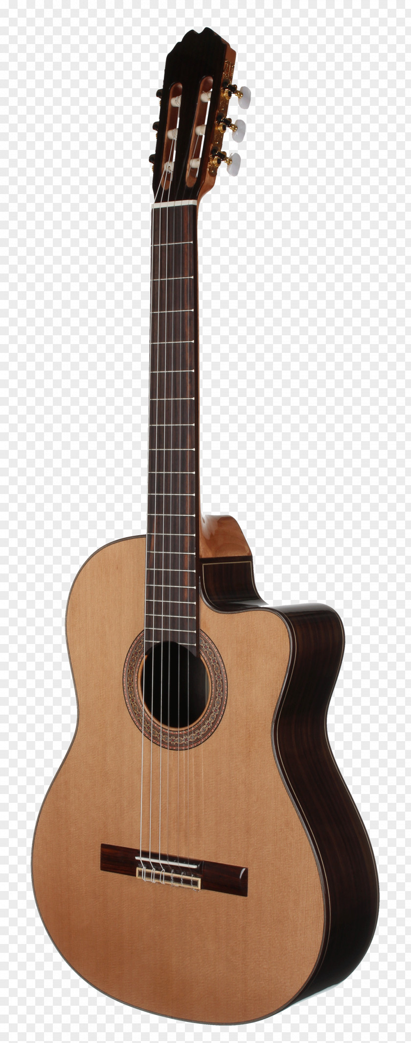 Guitar Taylor Guitars Classical Steel-string Acoustic Musical Instruments PNG