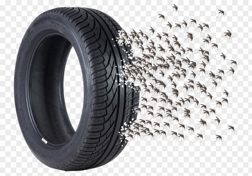 Mosquito Tread Yellow Fever Tire Dengue PNG