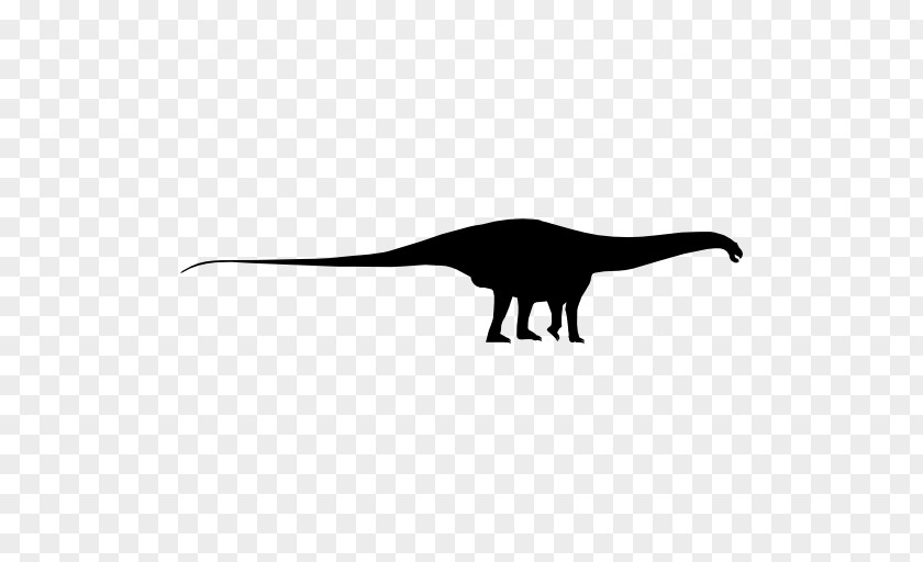Silhouette Tyrannosaurus Black White PNG