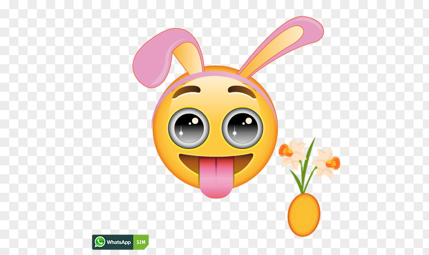 Smiley Emoticon Emoji Online Chat Wink PNG
