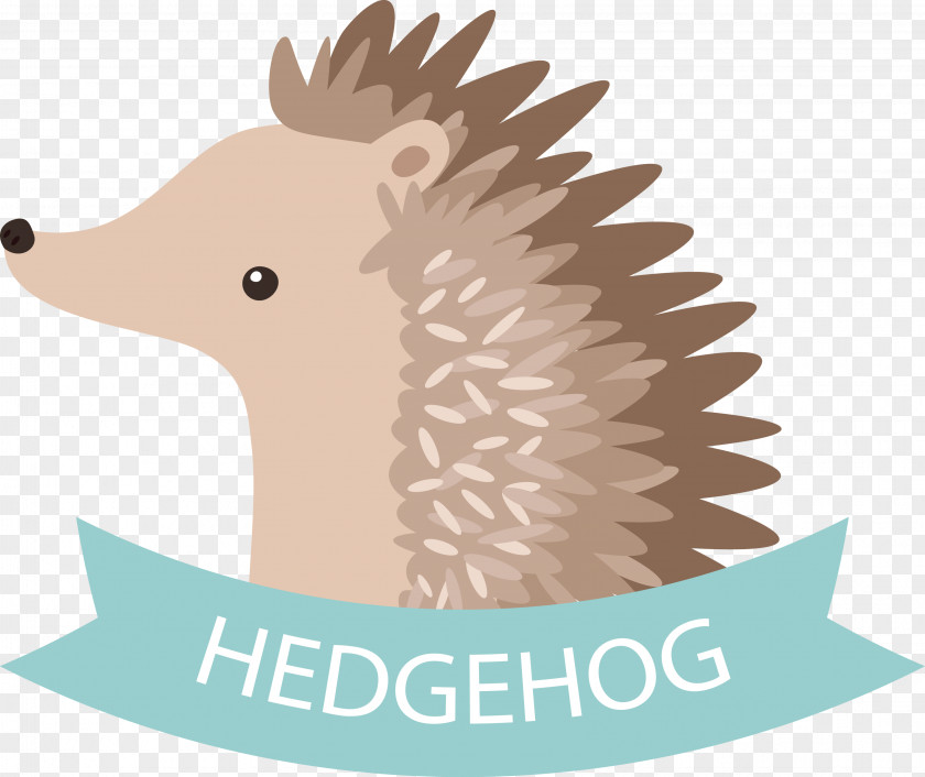 Vector Cartoon Hedgehog Euclidean Drawing PNG